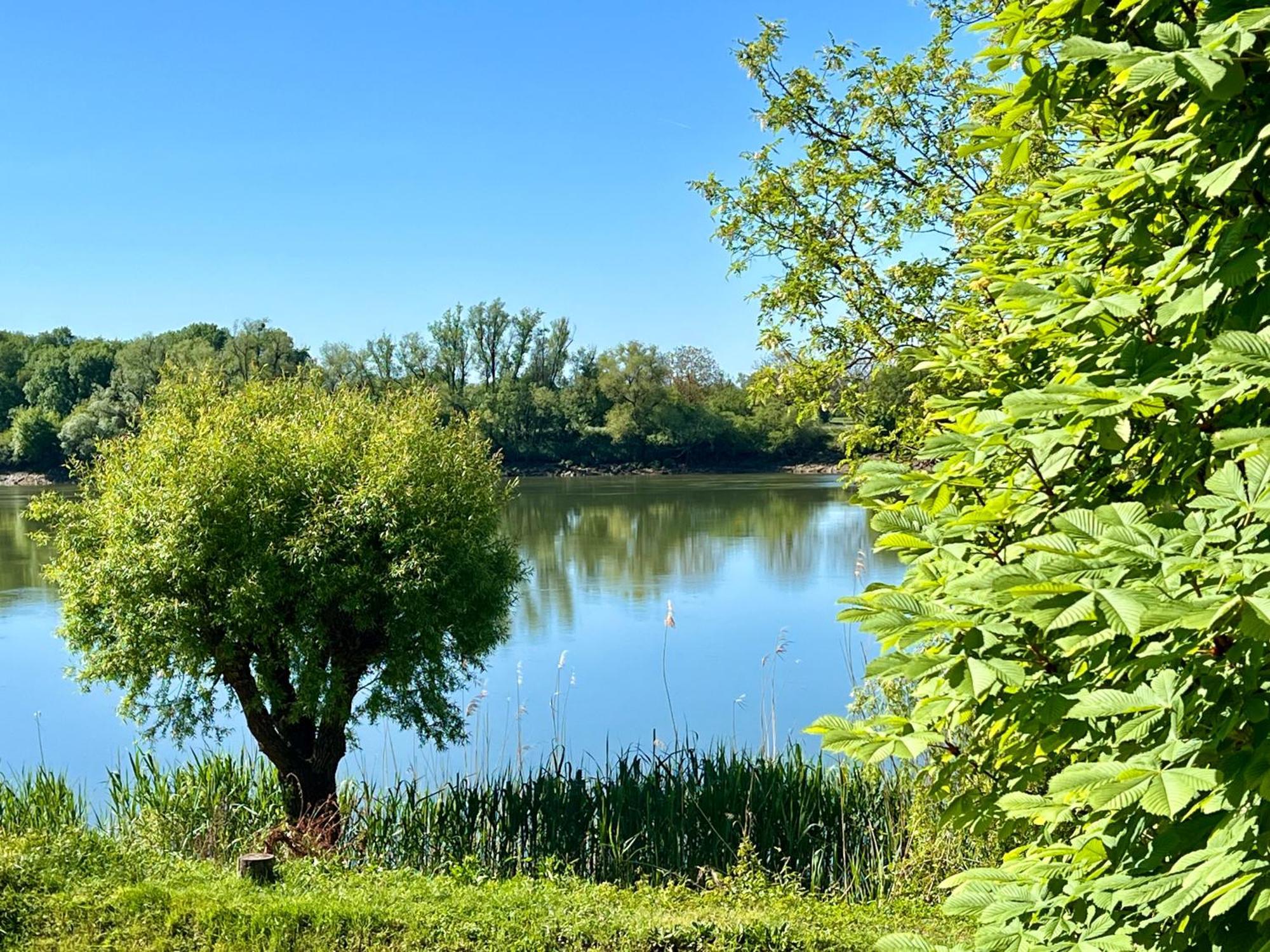 La Villa Du Fleuve Quinsac  Zewnętrze zdjęcie